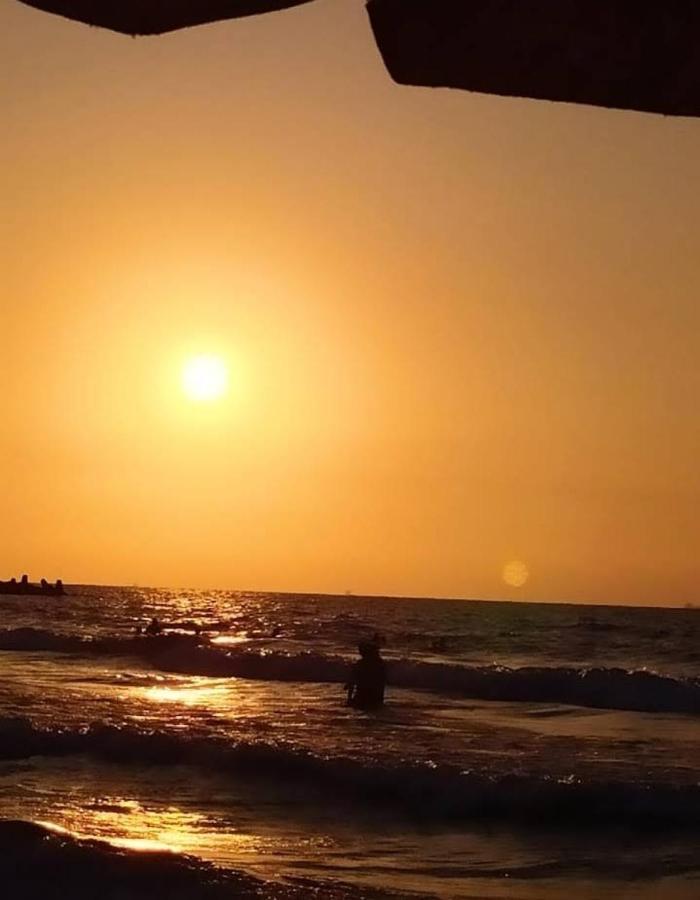 Panorama Elzohour * Alexandria